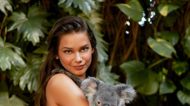 animals-michelle-v-koala1.jpg